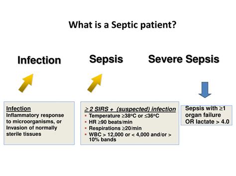 Ppt Identification And Management Of Severe Sepsis And Septic Shock