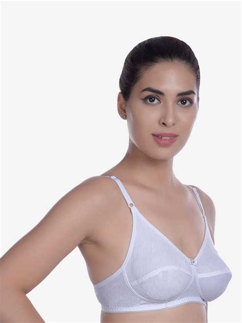 Womens Wireless Non Padded Plus Size Cotton Bra Snazzyway