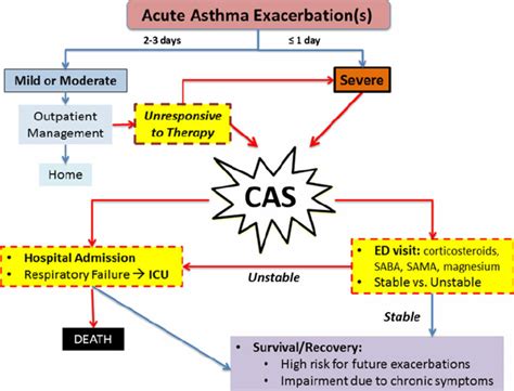 Progression and timeline of acute exacerbation of asthma to CAS | Download Scientific Diagram