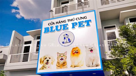 Top M U Bi N Qu Ng C O Pet Shop P V N T Ng Nh T