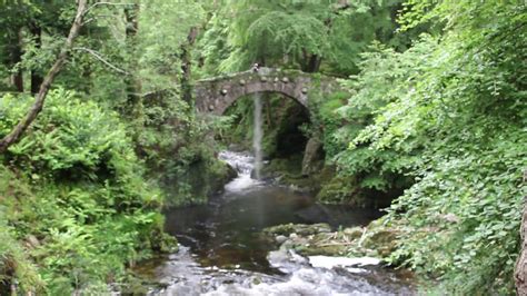 Distributing Micky S Ashes At Foley S Bridge Tollymore Forest Park