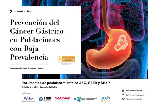 Prevención Del Cáncer Gástrico En Poblaciones Con Baja Prevalencia 4ª Edición Asociación