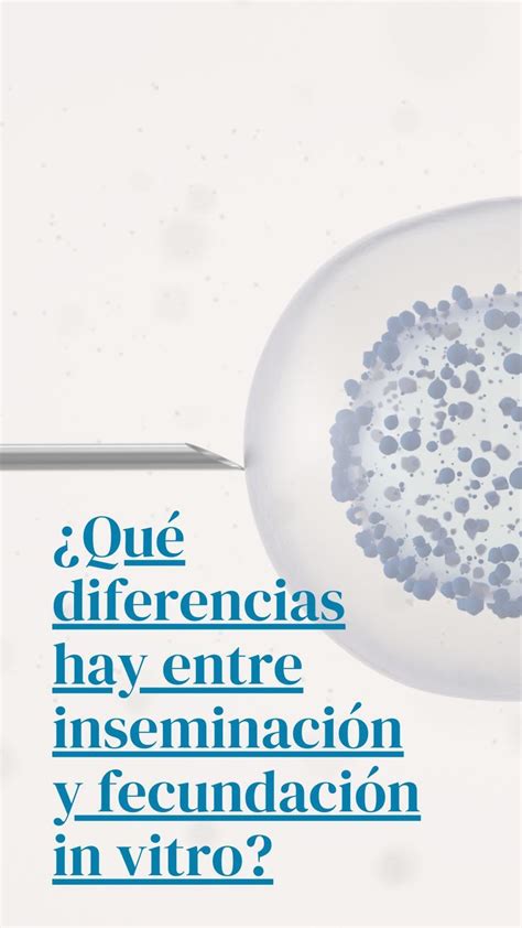 Qu Diferencias Hay Entre Inseminaci N Y Fecundaci N In Vitro En