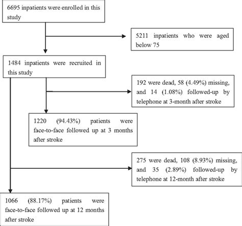 Frontiers Sex Differences In Stroke Subtypes Severity Risk Factors