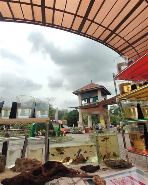 Harga Tiket Taman Botani Shah Alam Aktiviti