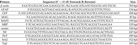 List And Sequences Of Mouse Primers Used For Rt Pcr Analysis Download Scientific Diagram