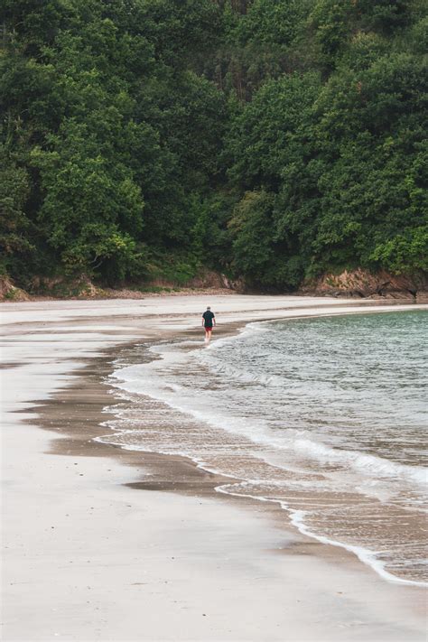 olas stock  images  royalty  hd downloads