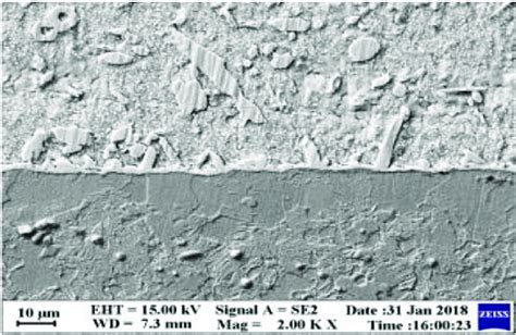 Bonding Interface Under Scanning Electron Microscope × 2000