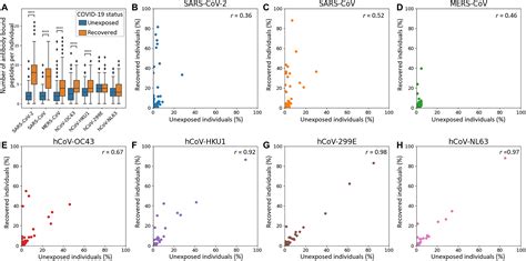 Cross Reactive Antibodies Against Human Coronaviruses And The Animal