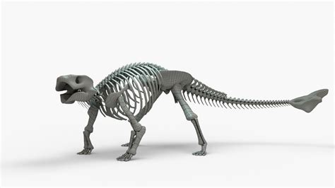 3D Ankylosaurus Rigged Skeleton model - TurboSquid 2131467