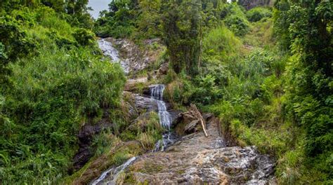 Activities, Guided Tours and Day Trips in Orocovis - Civitatis.com