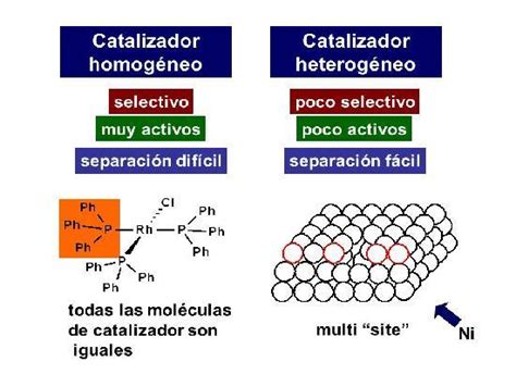 Qué es Catalizador Homogéneo Su Definición y Significado 2021