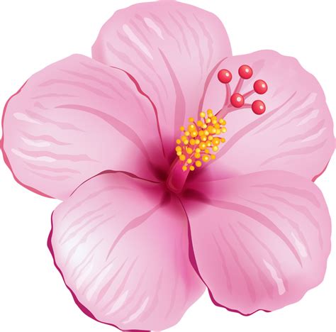 Tropical Flower Clipart Tropical Pink Flower Png Transparent Png