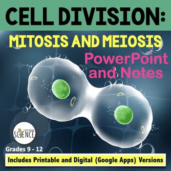 Cell Cycle Mitosis And Meiosis Powerpoint And Notes By Amy Brown Science