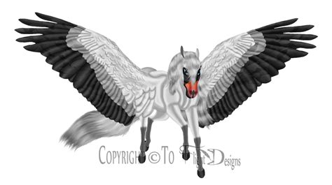 T Swan Pegasus By Flightdesigns On Deviantart