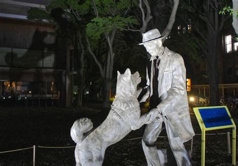 Hachiko a história do cachorro que inspirou o filme Sempre ao seu