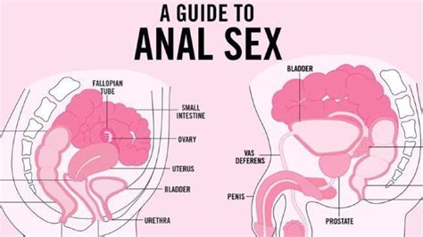 Teen Vogue Publishes Controversial Guide To Anal Sex The Weekly Times