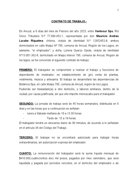 Formato Contrato Indefinido Pdf