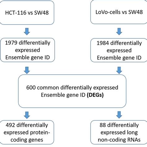 GSEA Analysis For Oncogenic Signature Gene Sets A Enrichment Plot Of