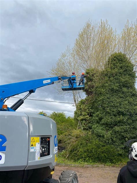 Tree Surgeon Kilmarnock Tree Surgeon East Ayrshire Ayrshire Tree Care