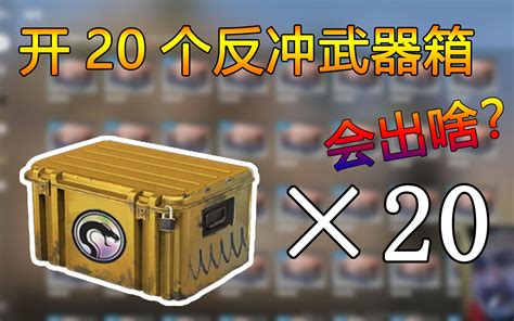 【csgo开箱】开20个反冲武器箱，出了雪豹？？？？ 哔哩哔哩