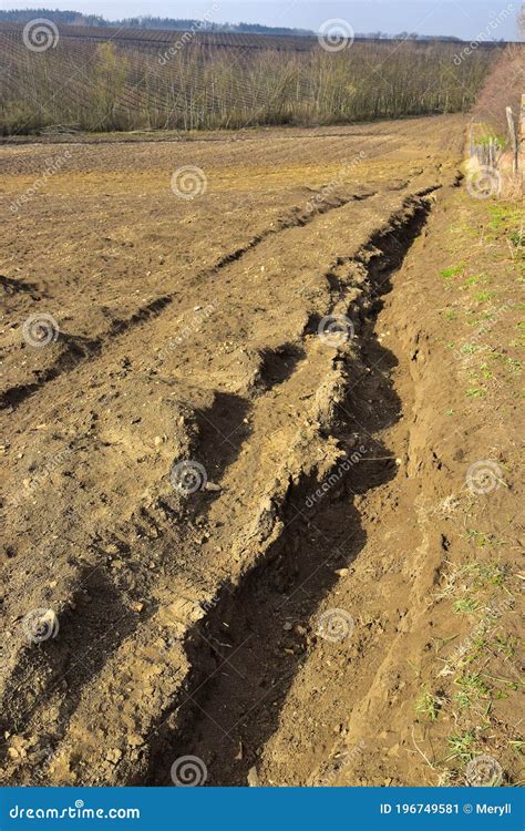 Eroded Field Soil Erosion Stock Image Image Of Erosion 196749581