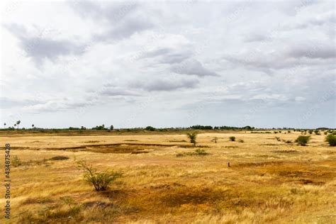 Barren land Stock Photo | Adobe Stock