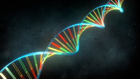 Estructura del ADN el modelo de Watson y Crick Biología