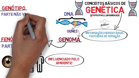 Conceitos Básicos De Genética Mapa Mental BRAINCP