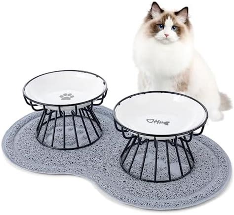 Dorakitten 2 Packs Elevated Cat Bowls With Non Slip Mat Anti Vomiting