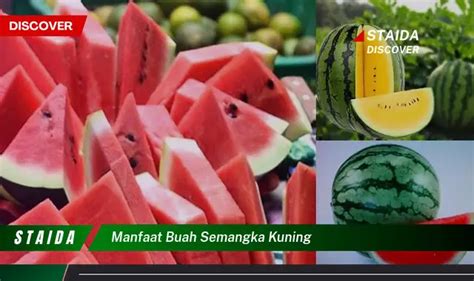 Temukan 7 Manfaat Buah Semangka Kuning Yang Jarang Diketahui