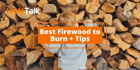 Best Firewood Choosing The Right Wood To Burn