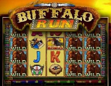 Buffalo Run Slot - Latest Online Slots