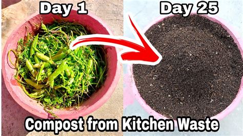 How To Make Compost From Kitchen Waste Compost From Kitchen Waste