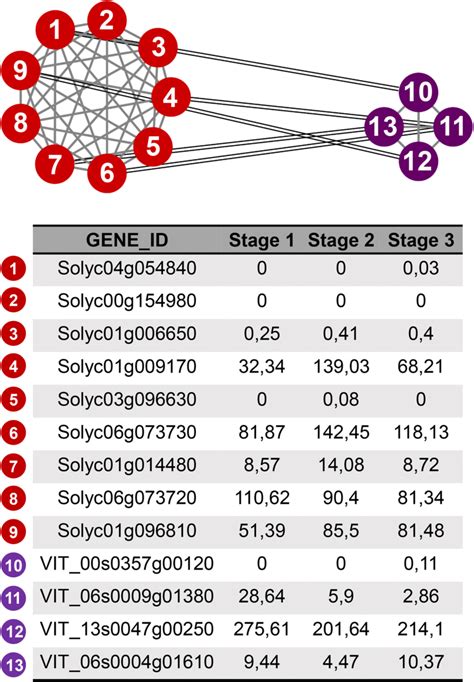 Ortholog Paralog Network Involving Eil Transcription Factor Red