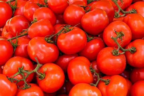 Como Cultivar Tomates Conhe A Esp Cies Incomuns