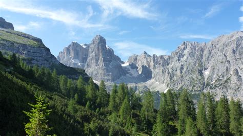 Parco Naturale Adamello Brenta - Guide Alpine Val di Sole