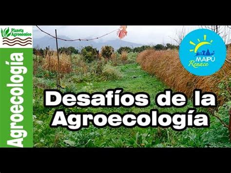 Los DESAFÍOS de la AGROECOLOGÍA es la producción de alimentos YouTube