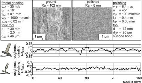 Manufacturing Conditioned Roughness And Wear Of Biomedical Oxide Ceramics For All Ceramic Knee