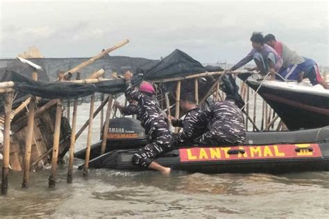 Bongkar Pagar Laut Di Tangerang TNI AL Atas Perintah Presiden GenPI Co