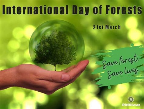 International Day of Forests – 21st March | RitiRiwaz