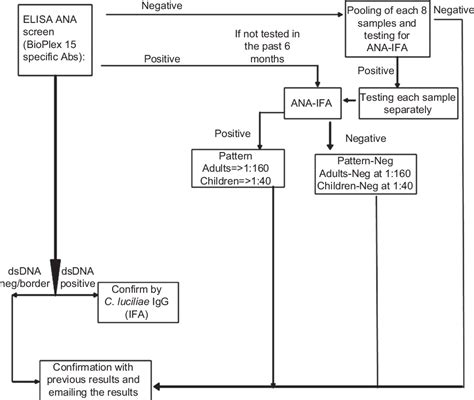 A Novel Cost Effective Algorithm For Antinuclear Antibody Ana Testing