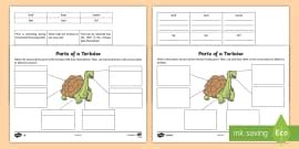 The Tortoise And The Hare Cloze Activity Sheet Twinkl