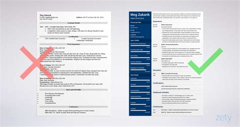 Best Executive Resume Template And 20 C Level Examples