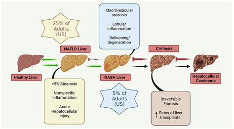 Frontiers Non Alcoholic Fatty Liver Disease Nafld And Mental