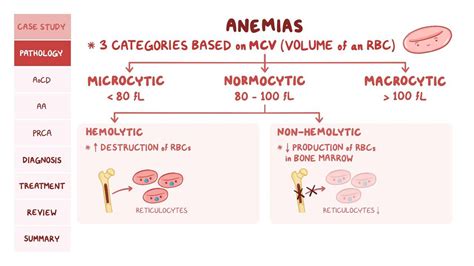 Non-hemolytic normocytic anemia: Pathology review | Osmosis