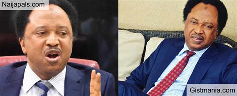 Shehu Sani Reacts To The Viral Video Of Cleric Calling For Killing Of