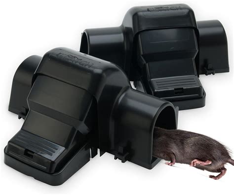 Exuby Pet Safe And Child Safe Rat Traps Wtunnel Design 8