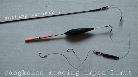 Cara Buat Rangkaian Mancing Umpan Lumut Dan Kail Pancing Yang Cocok