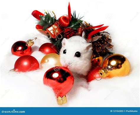 Dwarf Hamster With Christmas Decorations Stock Image Image Of Winter